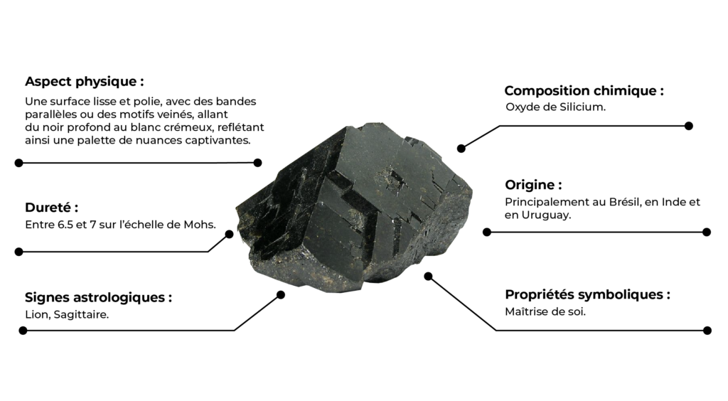 Caractéristique de la Onyx