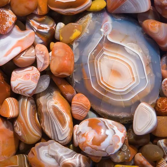 L'histoire de l’Agate